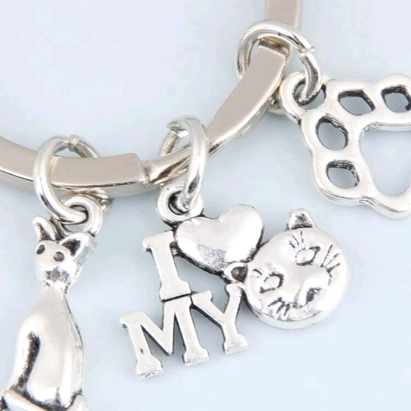 Stainless Steel Keychain - Picture 4 of 4